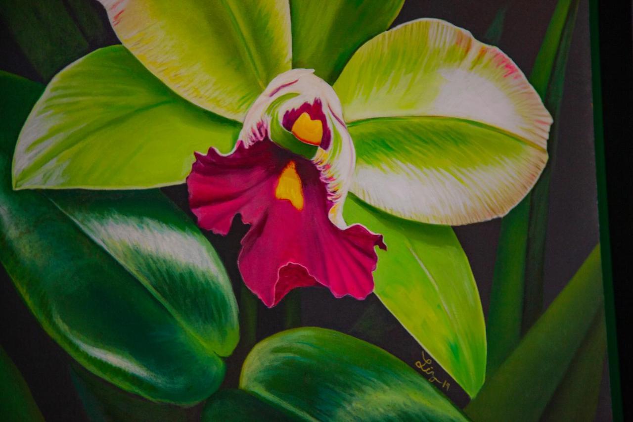 Mestizo Gallery Tulum Eksteriør bilde